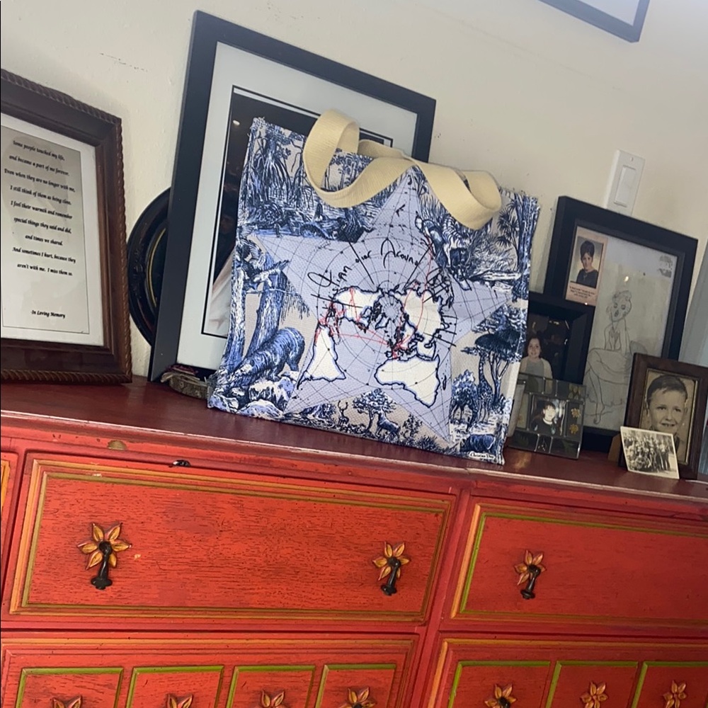 Dior Blue and Tan Tote Bag around the world - Picture 5 of 13